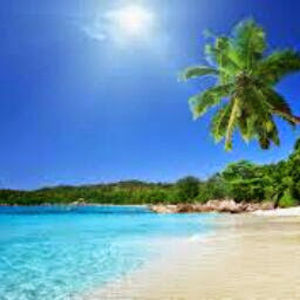 Meet your Posher, Maylin